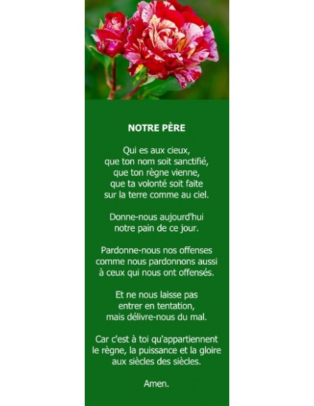 Signet - Rose Broceliande (réf.0201)