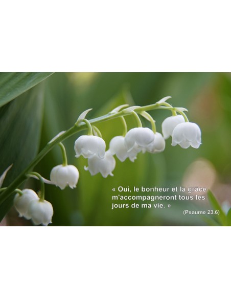 Carte postale - Muguet (0213)