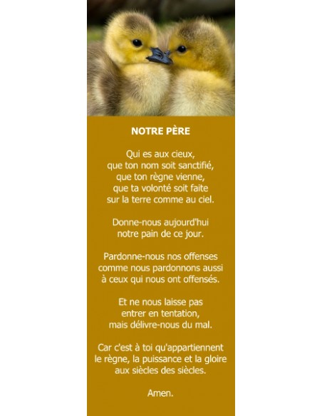 Signet - Canetons (réf.0232)