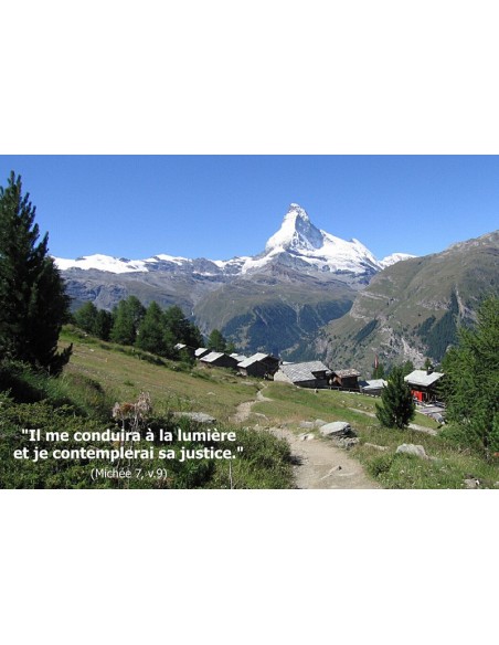 Carte postale - alpage