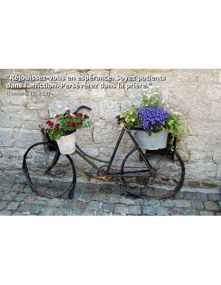 Carte postale - vélo avec fleurs