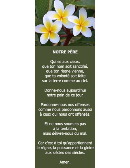 Signet fleurs