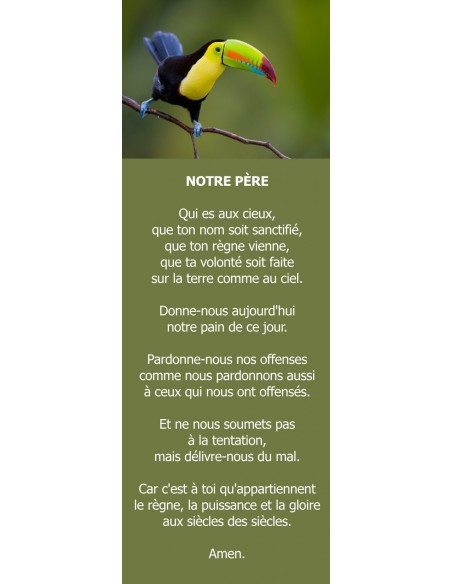 Signet toucan