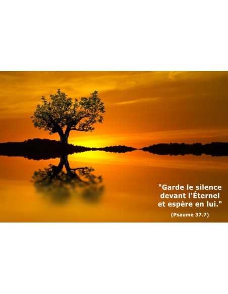 Carte postale - Arbre au coucher du soleil (réf. 0146)