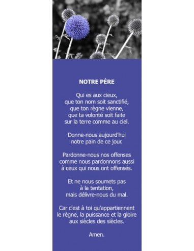 Signet - Chardon bleu (réf.0187)