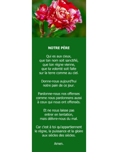 Signet - Rose Broceliande (réf.0201)