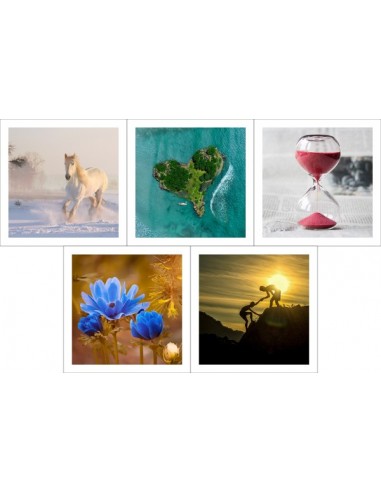 Pack Cartes Vœux simples