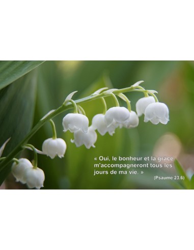 Carte postale - Muguet (0213)