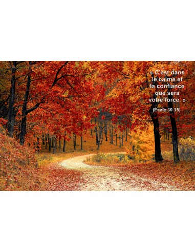 Carte postale - Sous Bois (0225)
