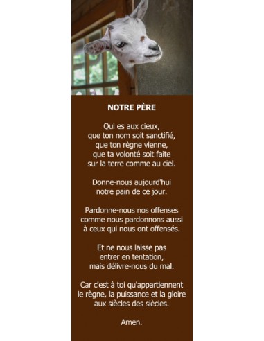 Signet - Biquette (réf.0231)