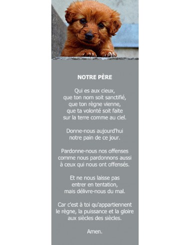 Signet - Chiot (réf.0233)