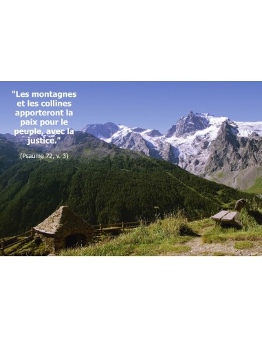 Carte postale - alpage