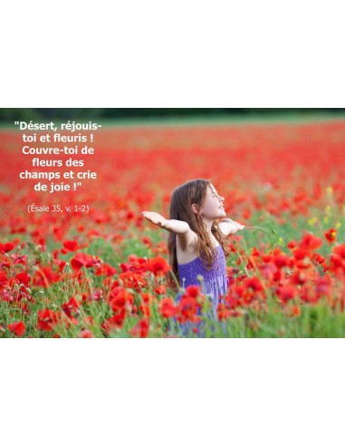Carte postale - champ de coquelicots