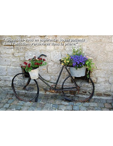 Carte postale - vélo avec fleurs
