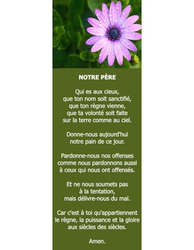 Signet fleurs violettes