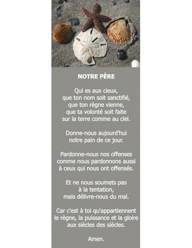 Signet coquillage