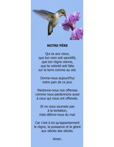 Signet oiseau mouche