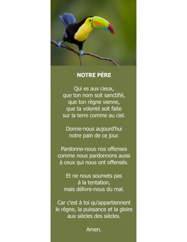 Signet toucan