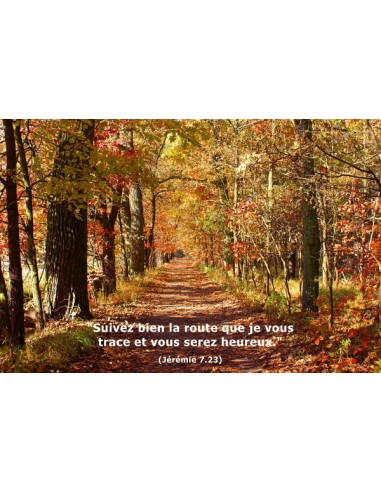 Carte postale - Automne (réf. 0131)