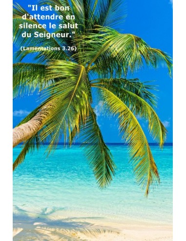 Carte postale - Plage Tropicale (réf. 0140)