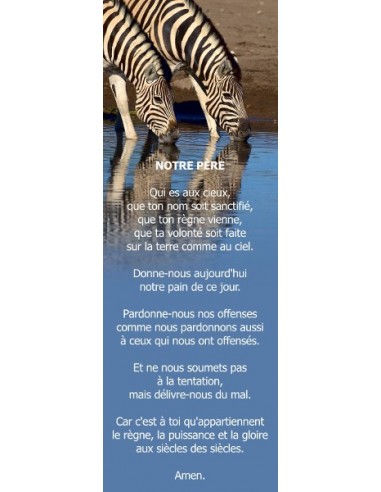 Signet - Zèbres (réf.0164)
