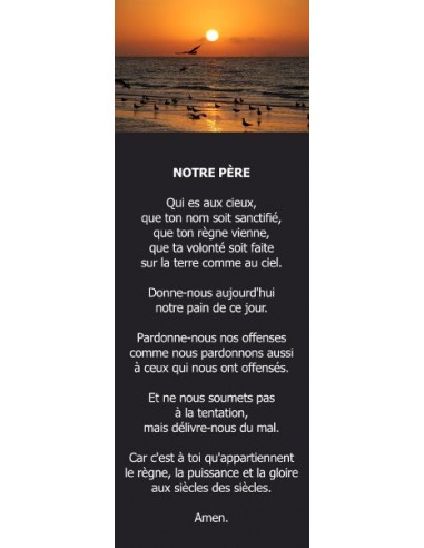 Signet - Soleil couchant en Floride (réf.0170)